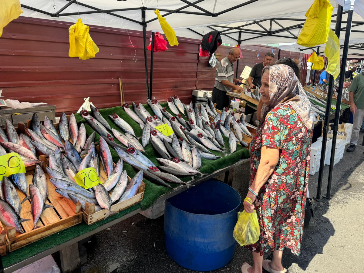 Zonguldak'ta Palamut Fiyatları Yükseldi Ama İlgi Sürüyor! 