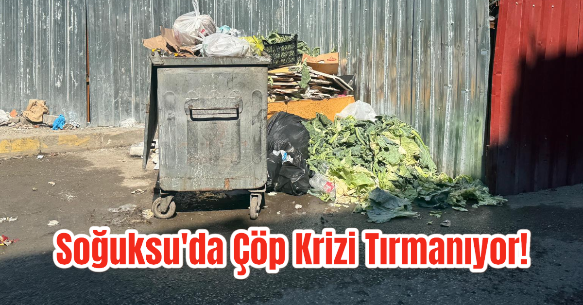 Zonguldak Soğuksu'da Çöp Krizi Tırmanıyor! Vatandaşlar İsyanda