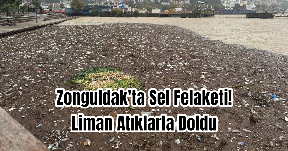 Zonguldak'ta Sel Felaketi! Liman Atıklarla Doldu 