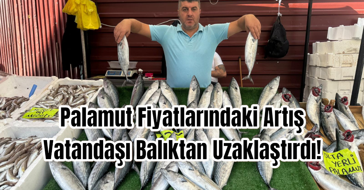 Palamut Fiyatlarındaki Artış Vatandaşı Balıktan Uzaklaştırdı! 