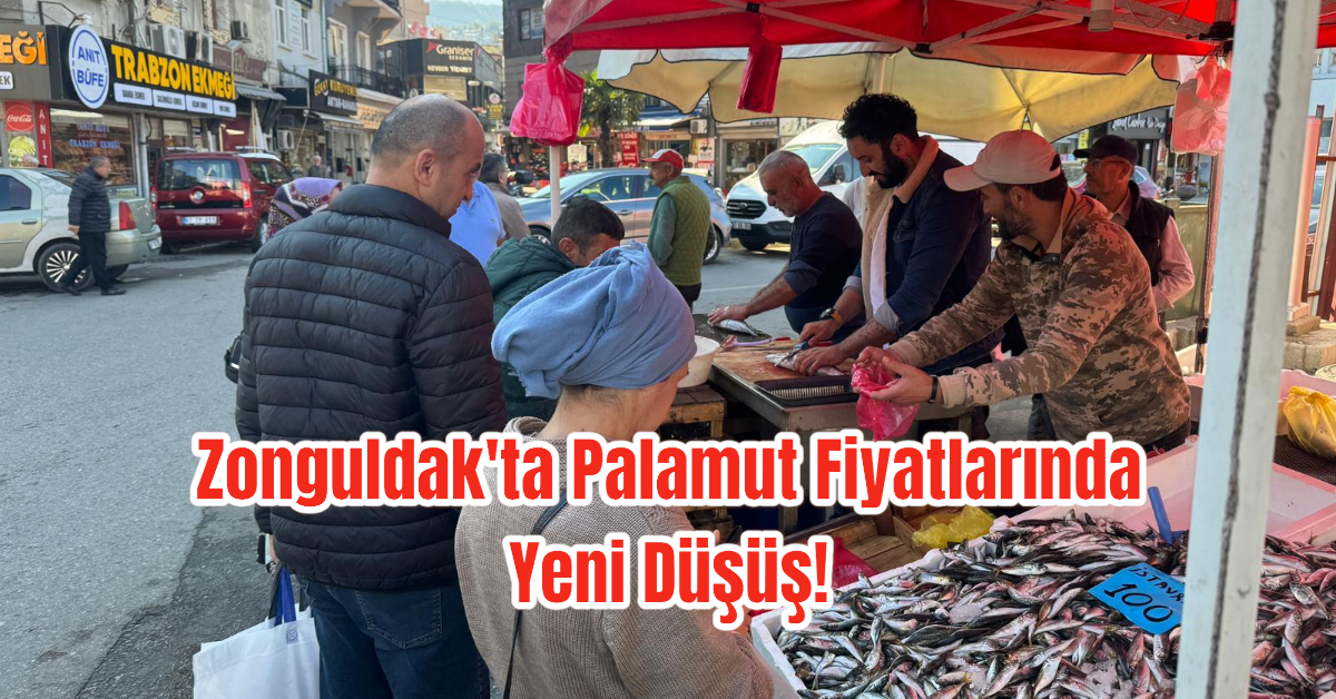 Zonguldak'ta Palamut Fiyatlarında Yeni Düşüş! 