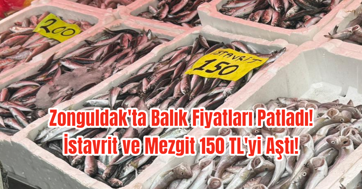 Zonguldak'ta Balık Fiyatları Patladı! İstavrit ve Mezgit 150 TL'yi Aştı!