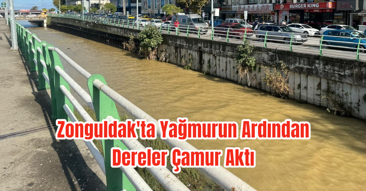 Zonguldak'ta Yağmurun Ardından Dereler Çamur Aktı 