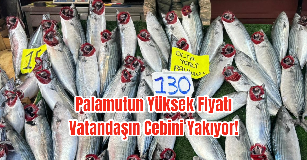 Palamutun Yüksek Fiyatı Vatandaşın Cebini Yakıyor!