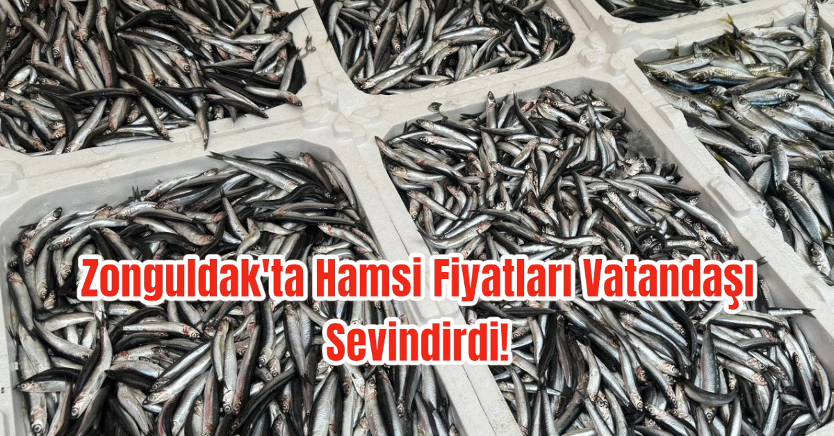 Zonguldak'ta Hamsi Fiyatları Vatandaşı Sevindirdi! 