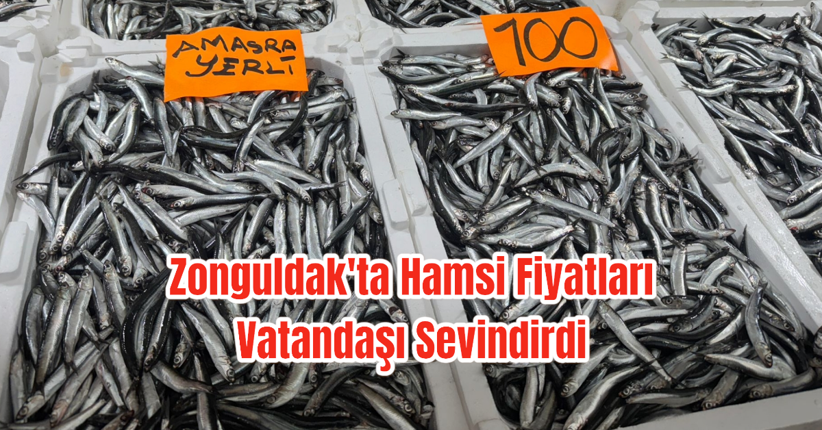 Zonguldak'ta Hamsi Fiyatları Vatandaşı Sevindirdi