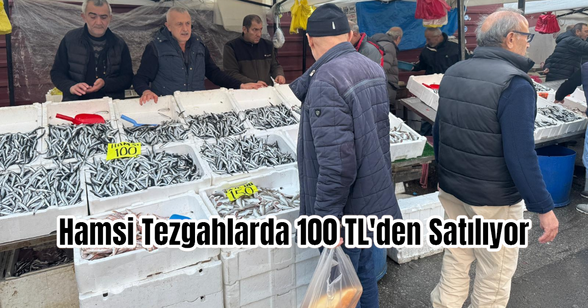 Hamsi Tezgahlarda 100 TL'den Satılıyor 