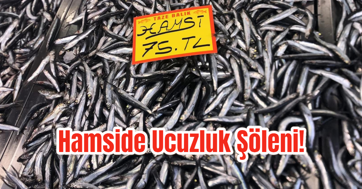 Hamside Ucuzluk Şöleni!