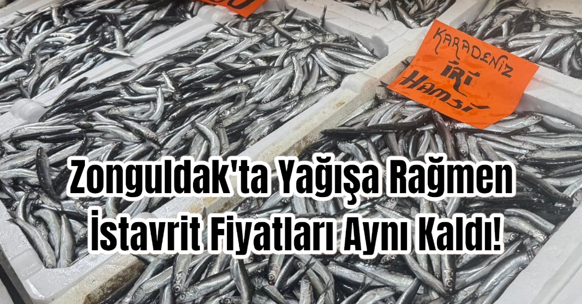 Zonguldak'ta Yağışa Rağmen İstavrit Fiyatları Aynı Kaldı!