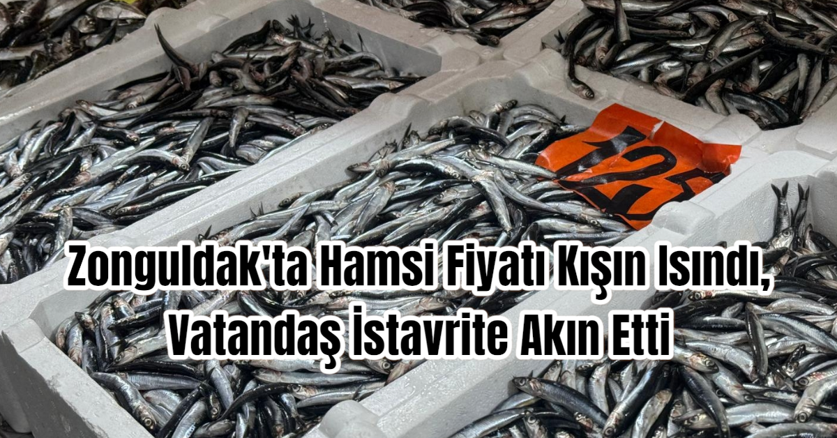 Zonguldak'ta Hamsi Fiyatı Kışın Isındı, Vatandaş İstavrite Akın Etti