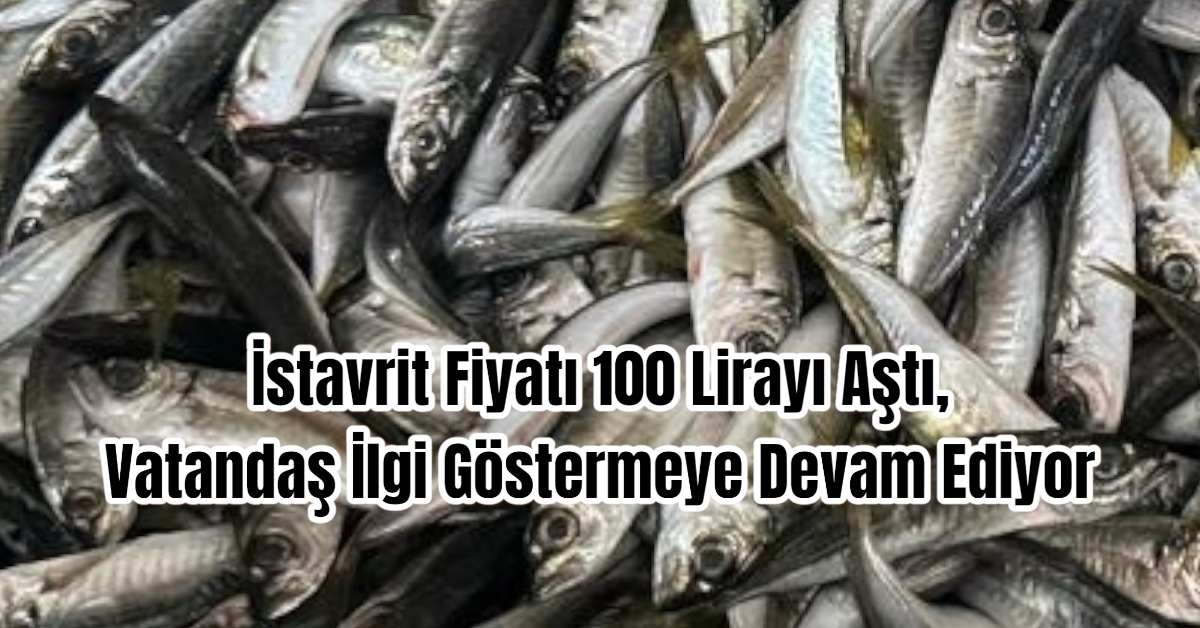 İstavrit Fiyatı 100 Lirayı Aştı, Vatandaş İlgi Göstermeye Devam Ediyor 