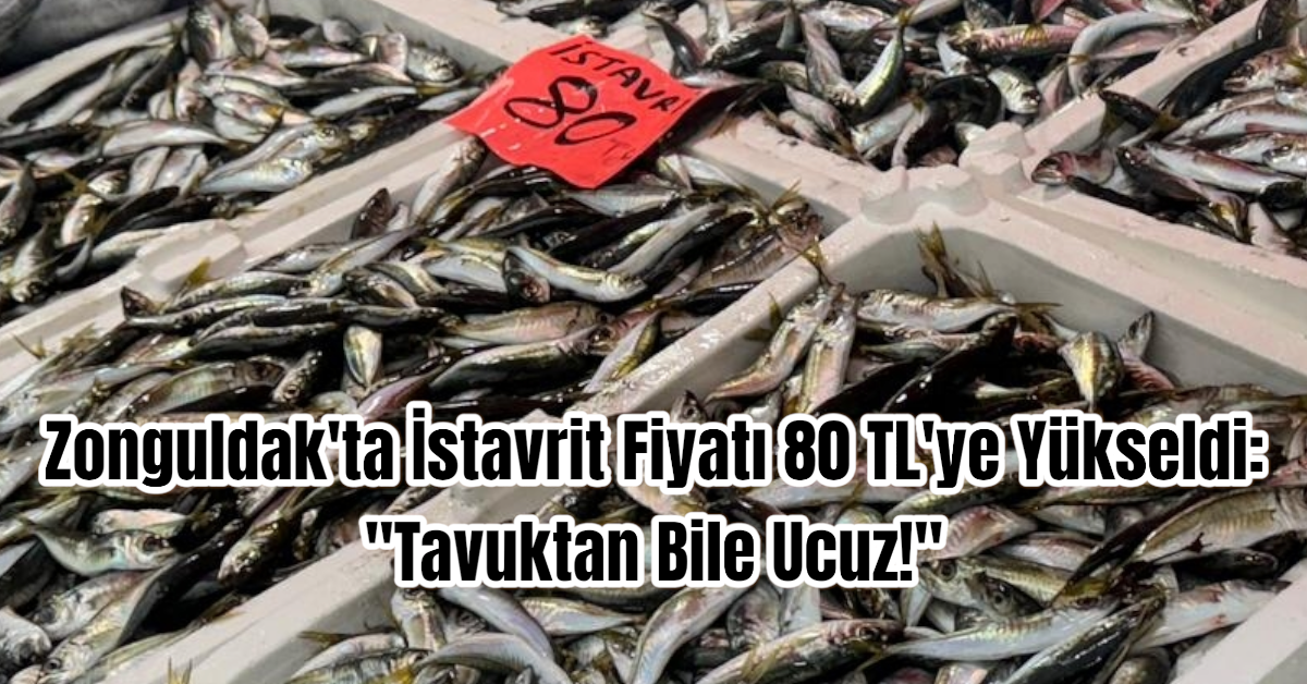 Zonguldak'ta İstavrit Fiyatı 80 TL'ye Yükseldi: 