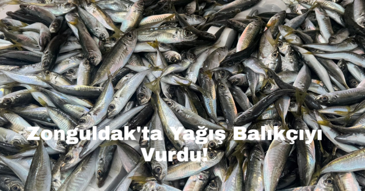 Zonguldak'ta Yağış Balıkçıyı Vurdu!