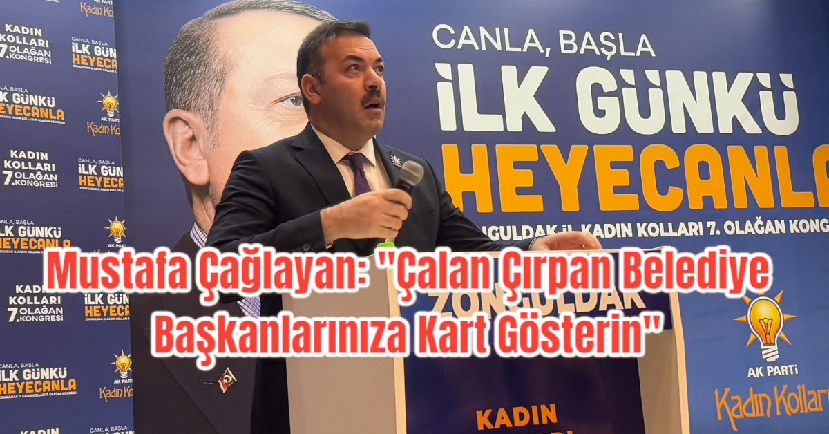 Mustafa Çağlayan: 