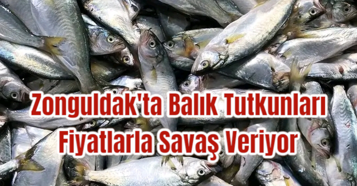 Zonguldak'ta Balık Tutkunları Fiyatlarla Savaş Veriyor