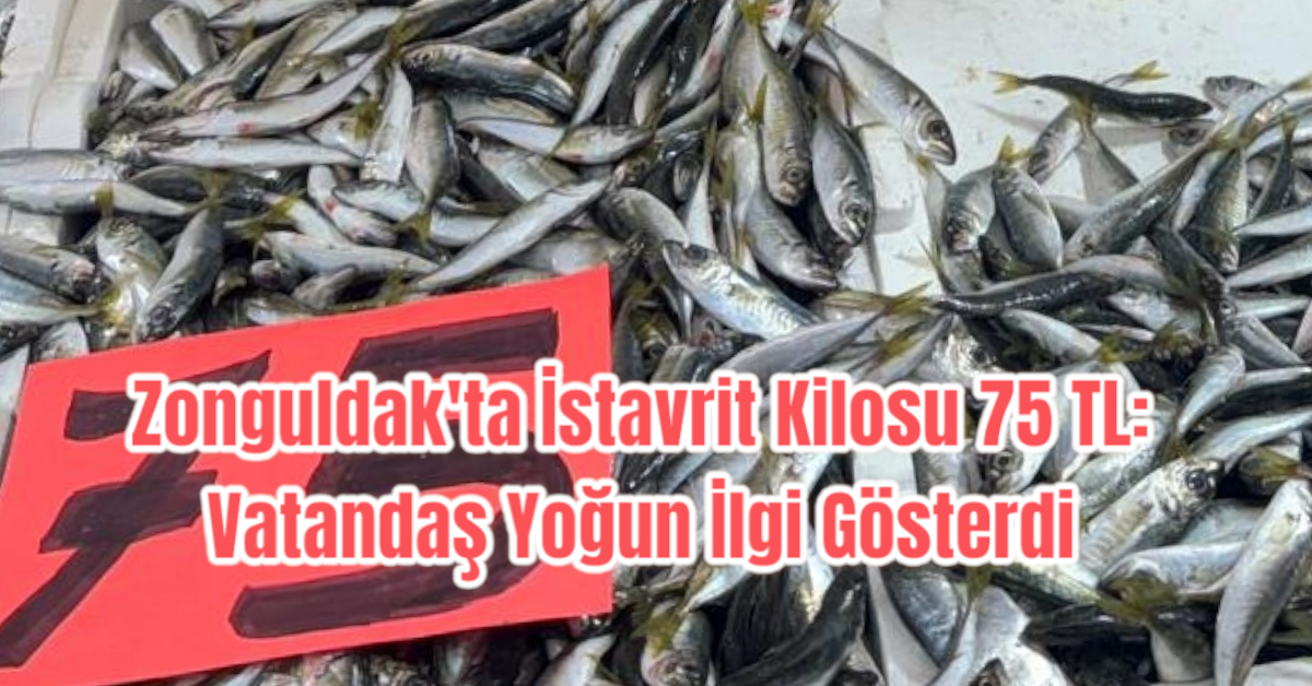 Zonguldak'ta İstavrit Kilosu 75 TL: Vatandaş Yoğun İlgi Gösterdi