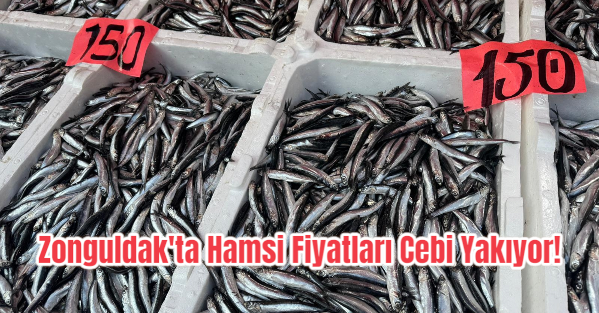 Zonguldak'ta Hamsi Fiyatları Cebi Yakıyor!