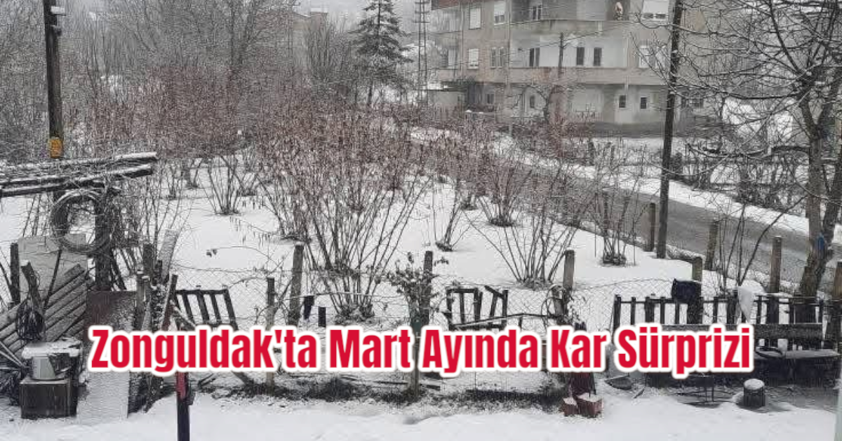 Zonguldak'ta Mart Ayında Kar Sürprizi