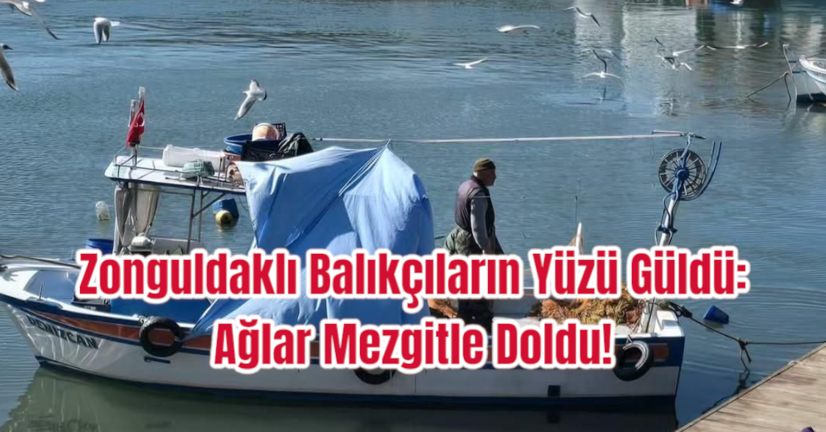 Zonguldaklı Balıkçıların Yüzü Güldü: Ağlar Mezgitle Doldu!