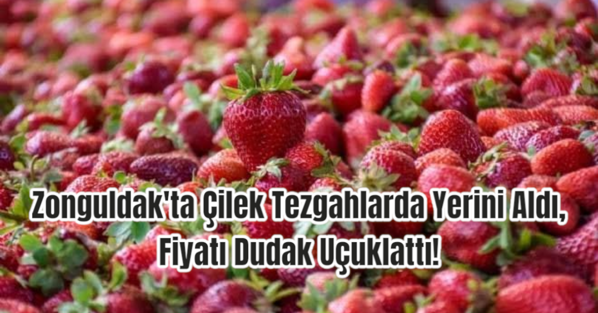 Zonguldak'ta Çilek Tezgahlarda Yerini Aldı, Fiyatı Dudak Uçuklattı!