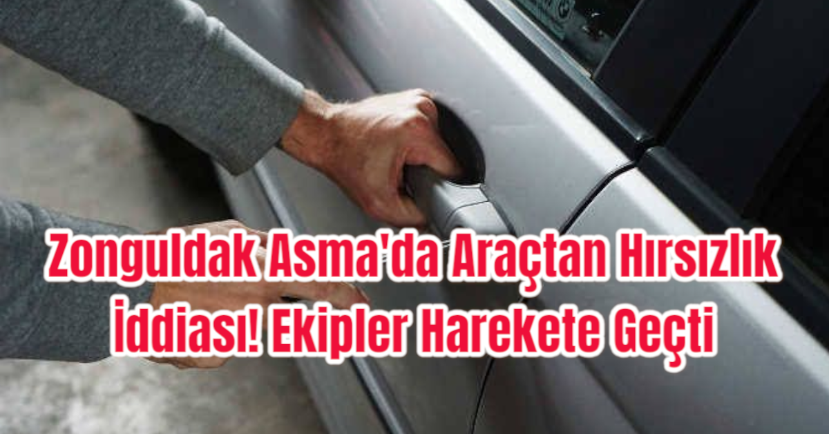 Zonguldak Asma'da Araçtan Hırsızlık İddiası! Ekipler Harekete Geçti