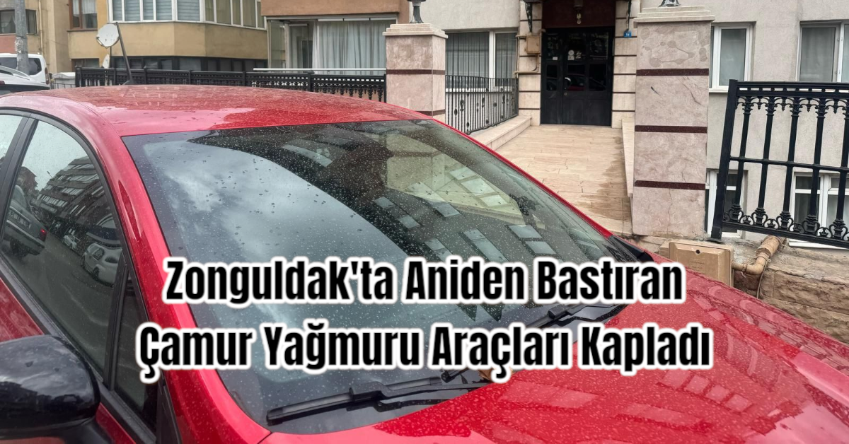 Zonguldak'ta Aniden Bastıran Çamur Yağmuru Araçları Kapladı