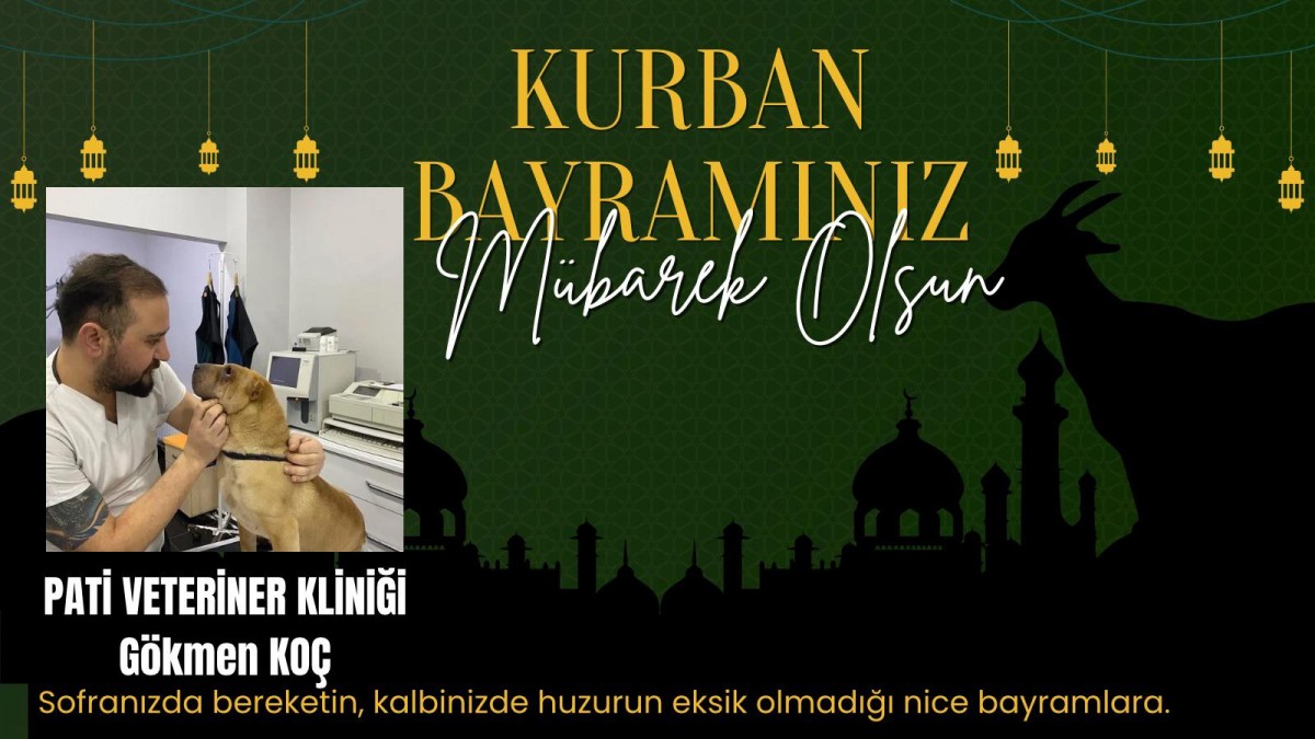 Gökmen Koç Bayram Mesajı 