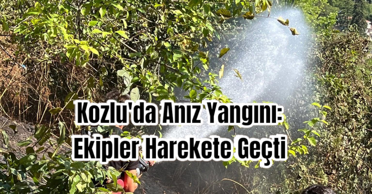 Kozlu'da Anız Yangını: Ekipler Harekete Geçti