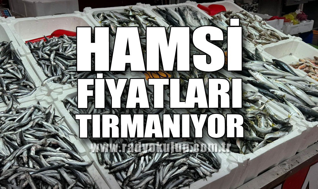 Hamsi Fiyatları Tırmanıyor