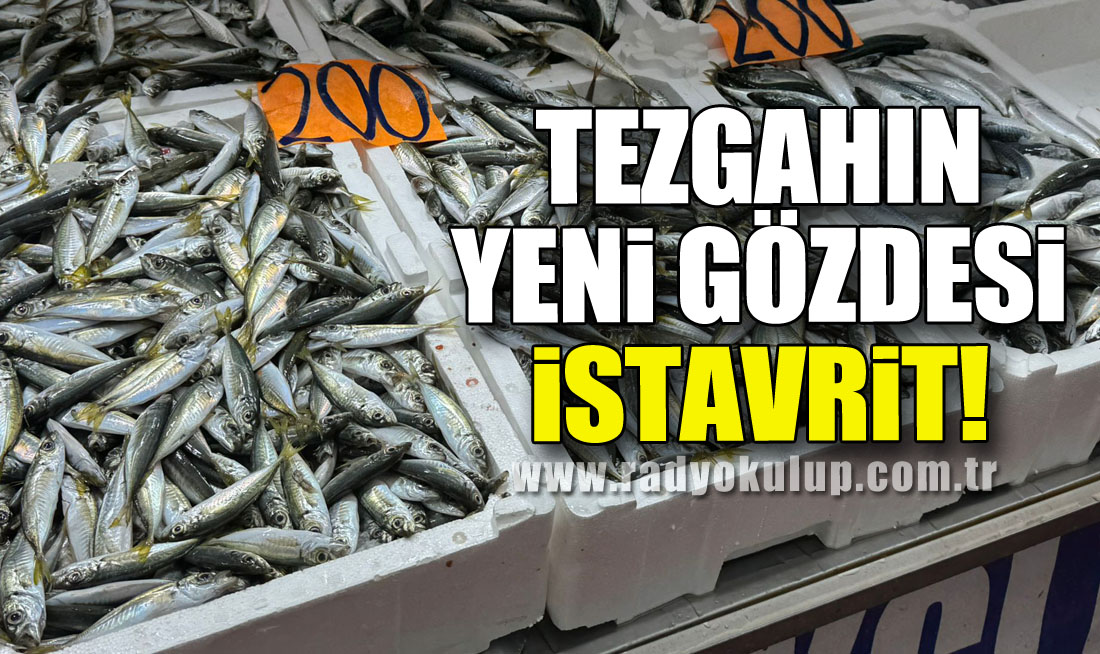 Tezgahın yeni gözdesi istavrit!