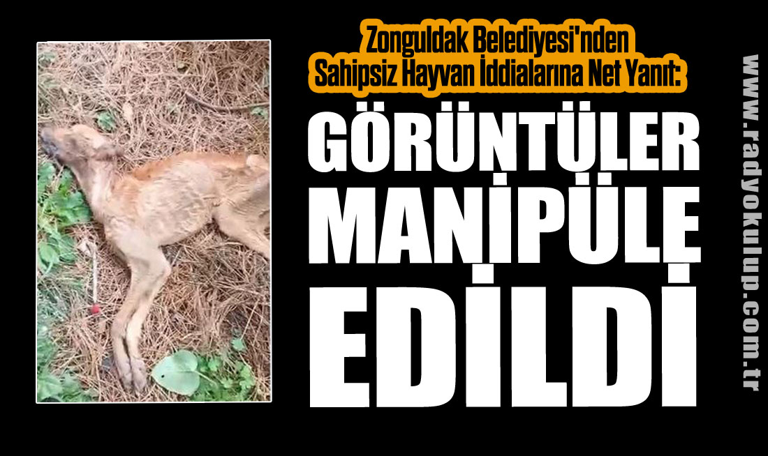 Görüntüler Manipüle Edildi
