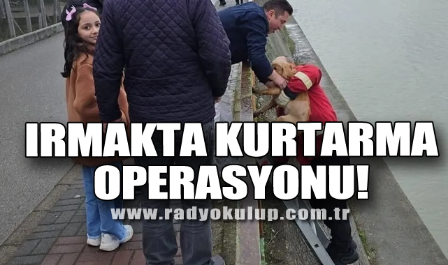 Irmakta Kurtarma Operasyonu!