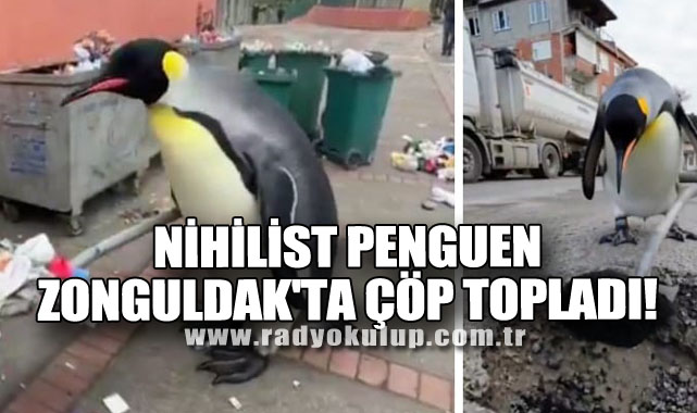 Nihilist Penguen Zonguldak'ta Çöp Topladı!