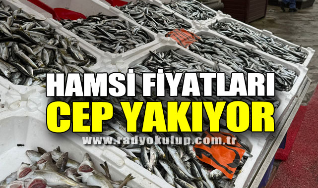 Hamsi Fiyatları Cep Yakıyor