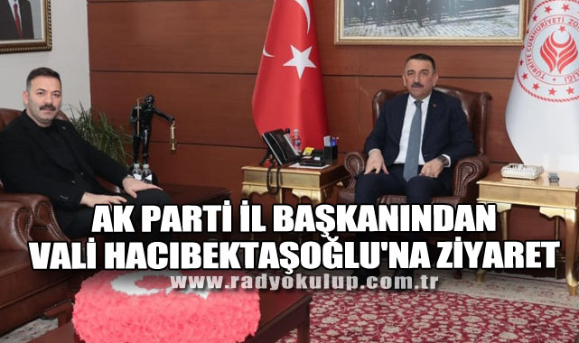AK Parti il Başkanından Vali Hacıbektaşoğlu'na Ziyaret 