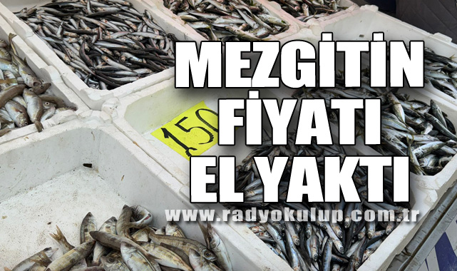 Mezgitin fiyatı el yaktı