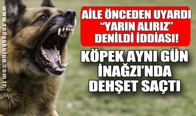 Aile Önceden Uyardı, “Yarın Alırız” Denildi İddiası! Köpek Aynı Gün İnağzı’nda Dehşet Saçtı