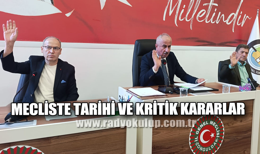 Mecliste Tarihi ve Kritik Kararlar
