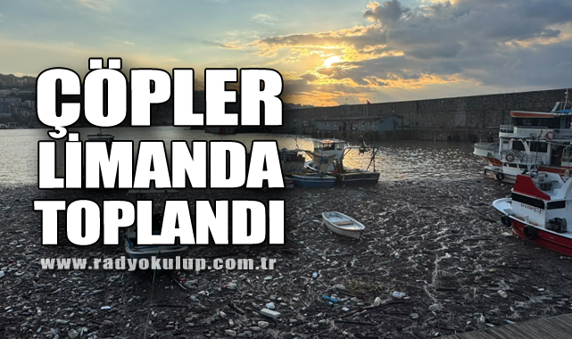 Çöpler limanda toplandı